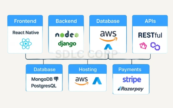 Visual diagram showing the recommended tech stack for a pet care app including React Native for frontend, Node.js and Django for backend, AWS for database and hosting, RESTful APIs, MongoDB, Stripe, and Razorpay for payments