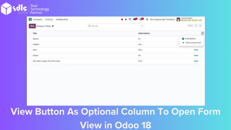 Odoo View button in list view showing optional column setup, form view navigation, and backend customization