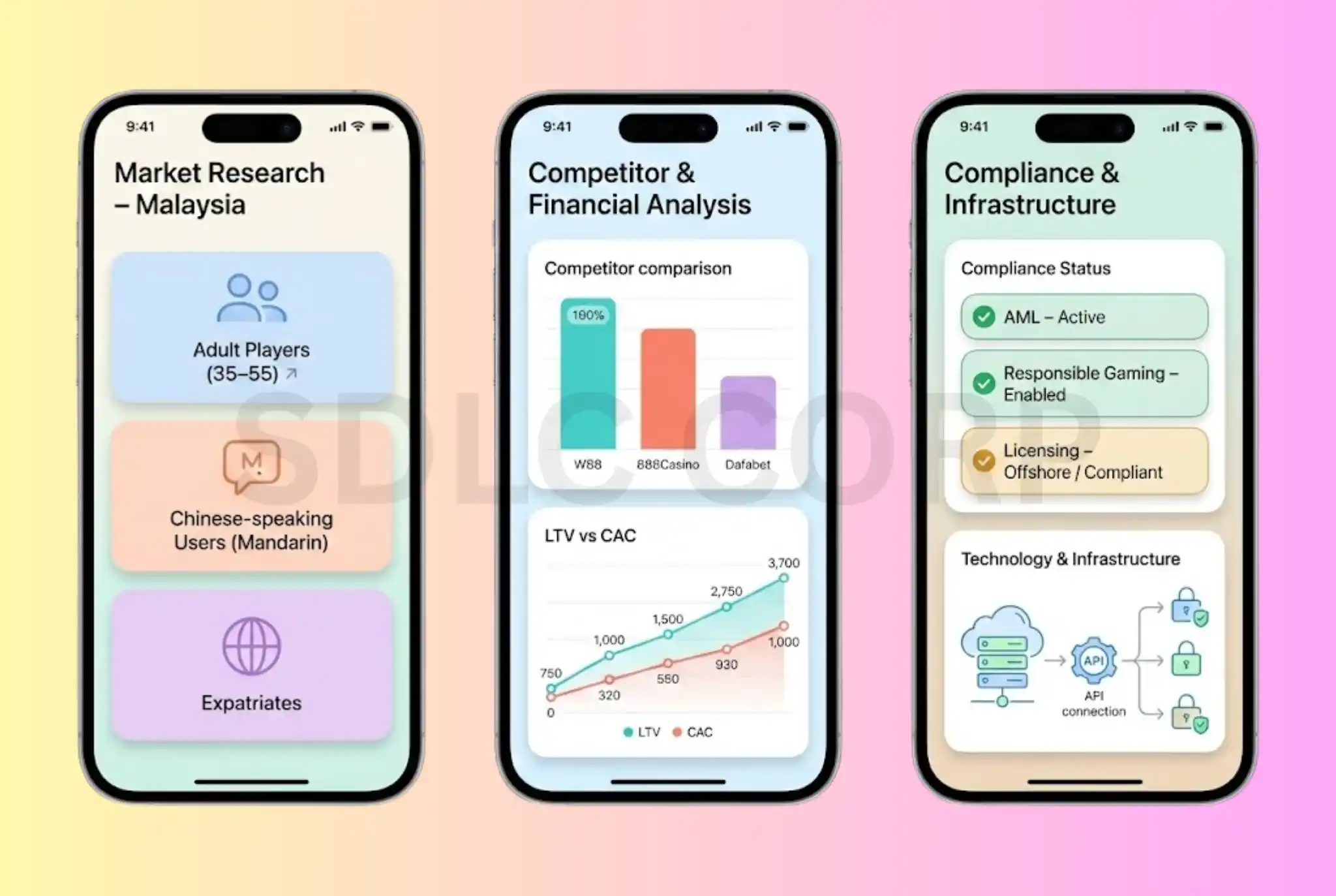  Market Research and Business Plan Development.