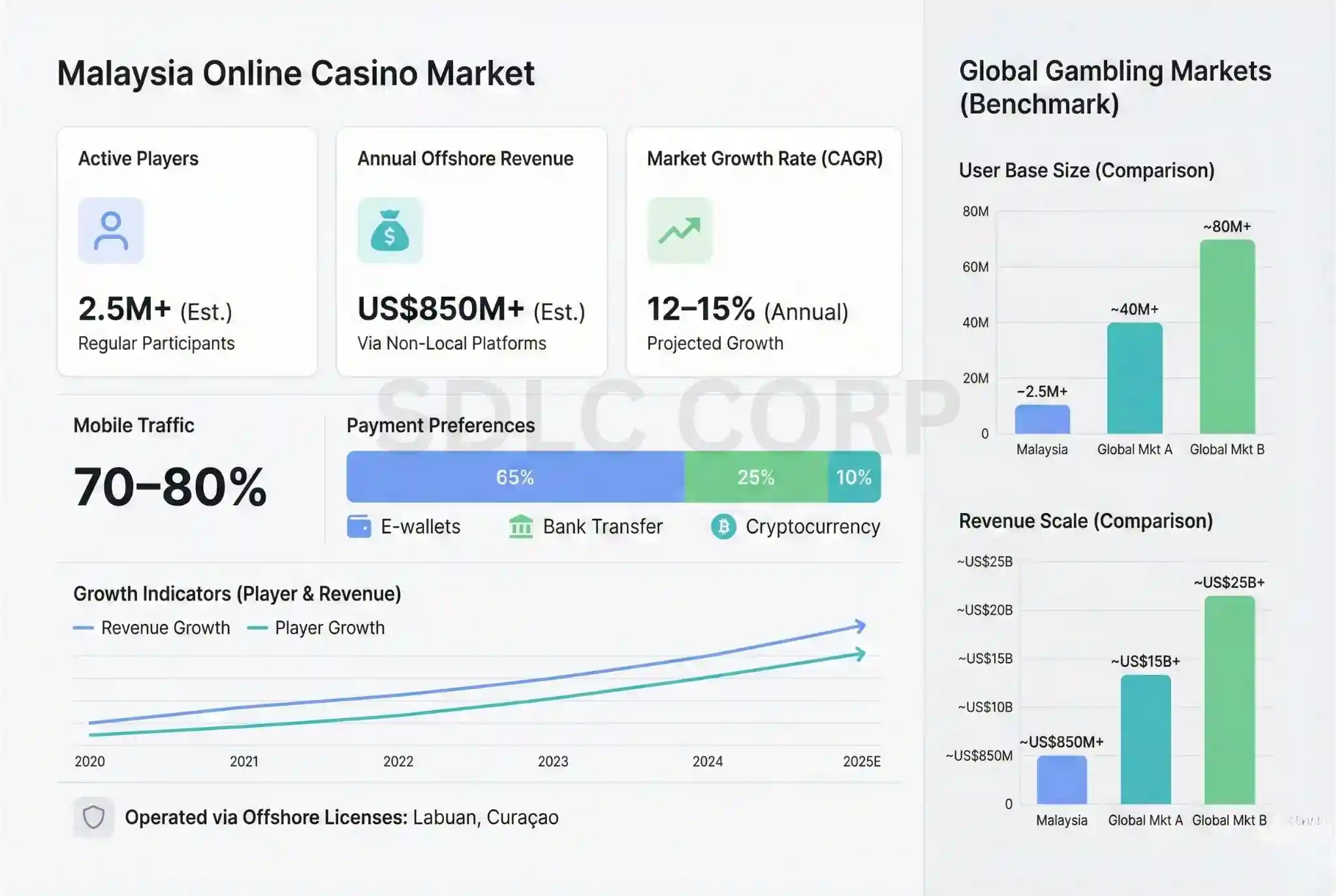  Market Size and Potential 