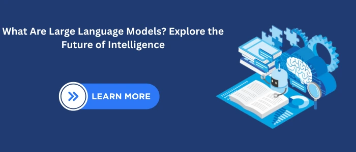 What Are Large Language Models? Explore the Future of Intelligence