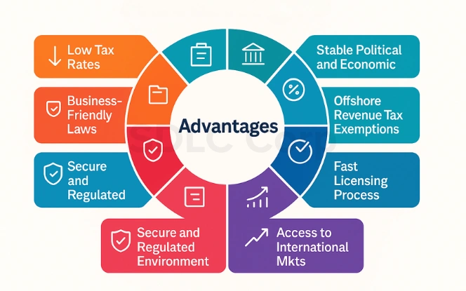 “Color-coded diagram highlighting advantages such as low taxes, fast setup, and international access.”