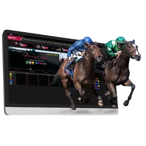  Horse Racing Handicapping Software 