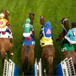 Types Of Horse Races Covered