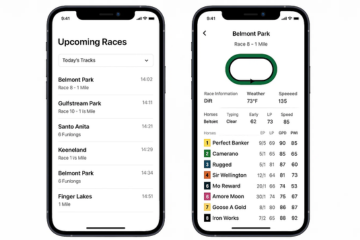 Custom Feature Development