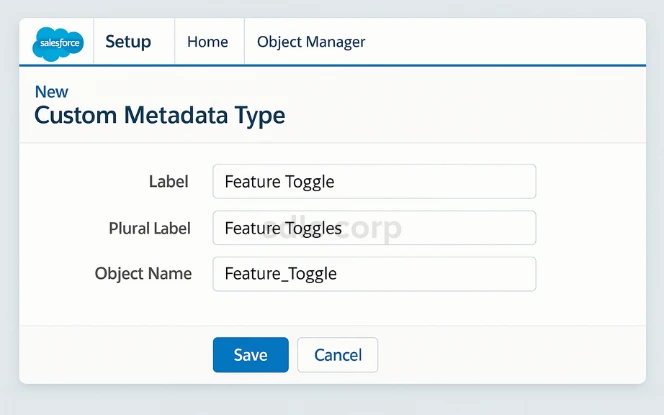   Salesforce new Custom Metadata Type creation screen in desktop mockup.