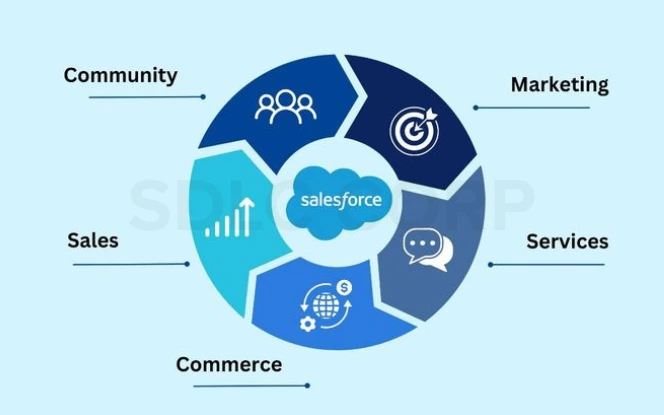   ecommerce development team planning platform architecture and workflow strategy for enterprise clients