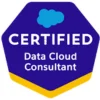 salesforce Data Cloud