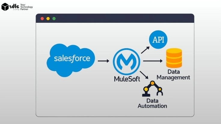 Salesforce to MuleSoft Integration