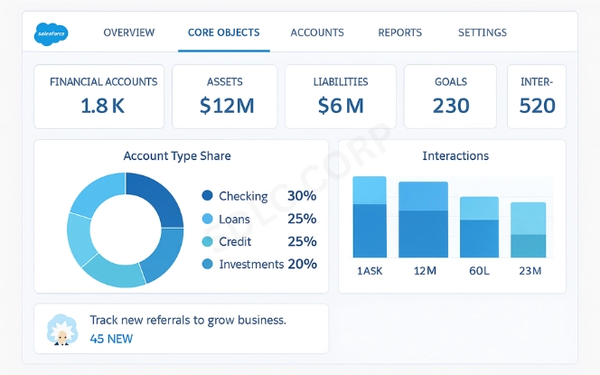 Salesforce dashboard showing financial accounts, assets, liabilities, goals, and interactions with charts for account distribution.