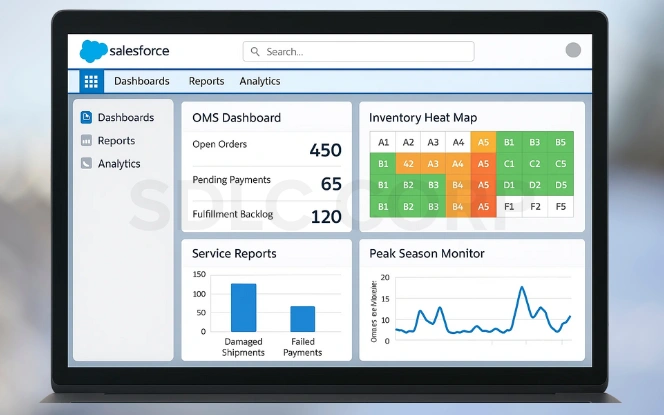  Dashboards & Insights