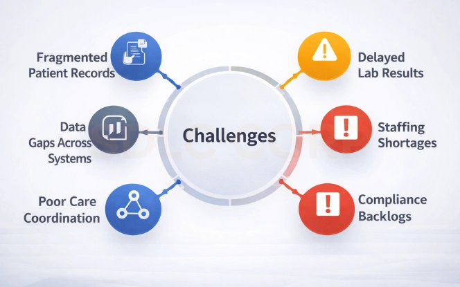 Circular map showing key challenges in healthcare systems connected around a central challenges node.