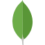mongodb-icon