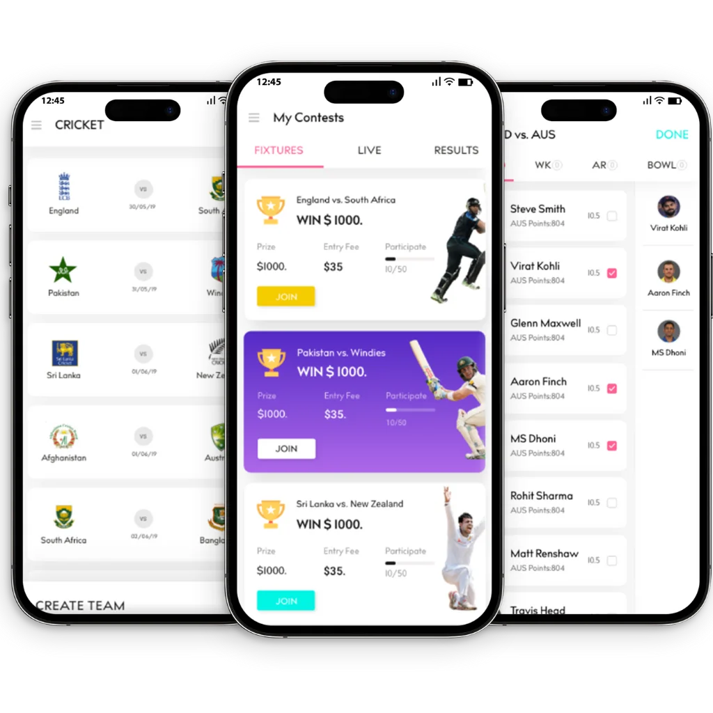 Our Fantasy Cricket App Development Overview.