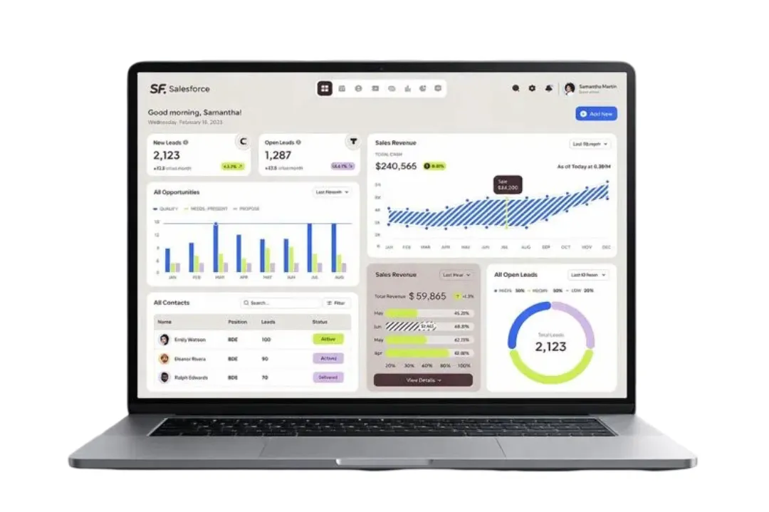 Salesforce platform visual