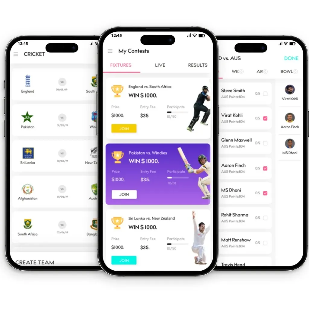 Our Fantasy Cricket App Development Overview.