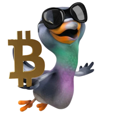 NFT Staking Platform Reviews - User Testimonials and Community Feedback