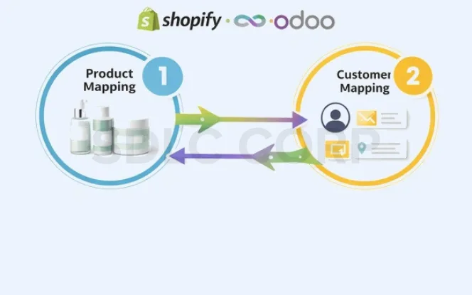 Shopify Odoo integration for Data mapping