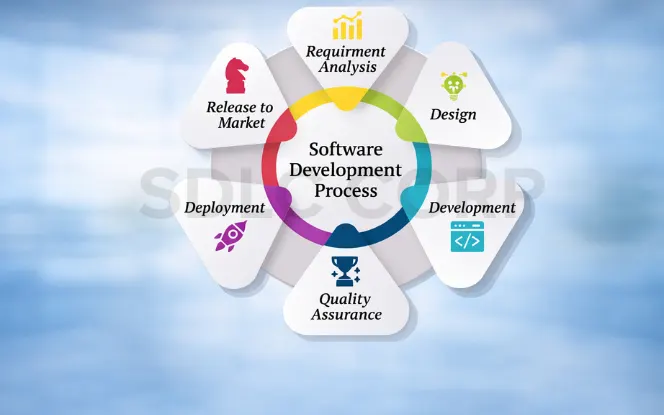 Custom software development process in 2026 covering discovery, architecture, design, development, testing, and launch