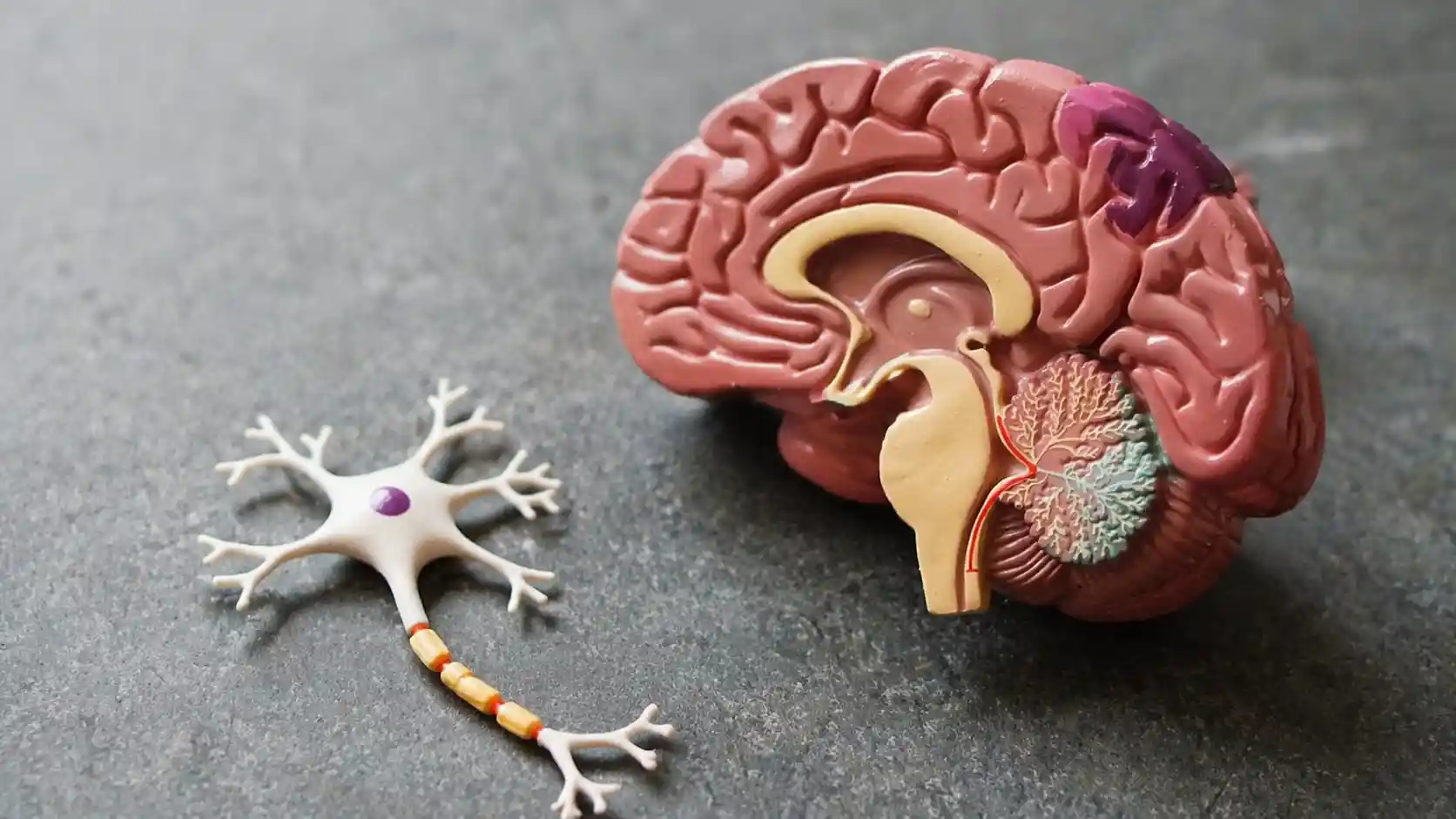 healthcare AI software development for clinical data analysis