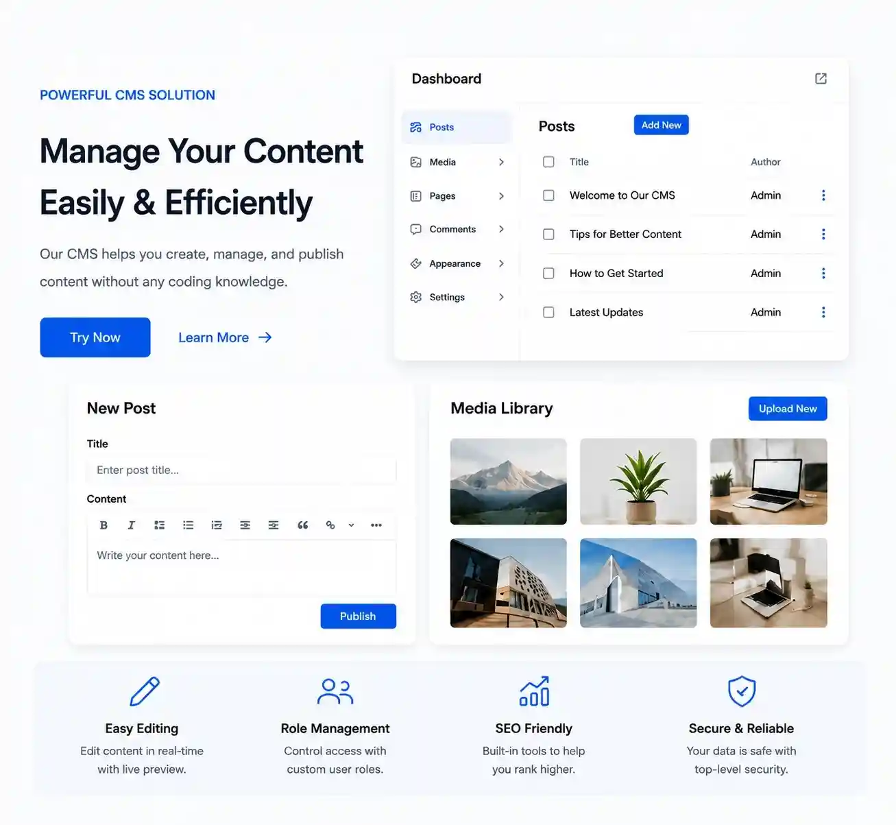 CMS website development