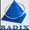 Radixweb ERP development company logo