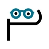 PerfectionGeeks software development company logo