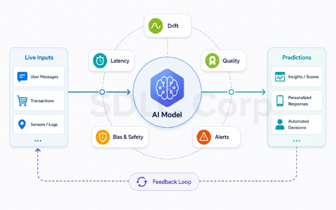 AI model monitoring signals reviewed for a production application