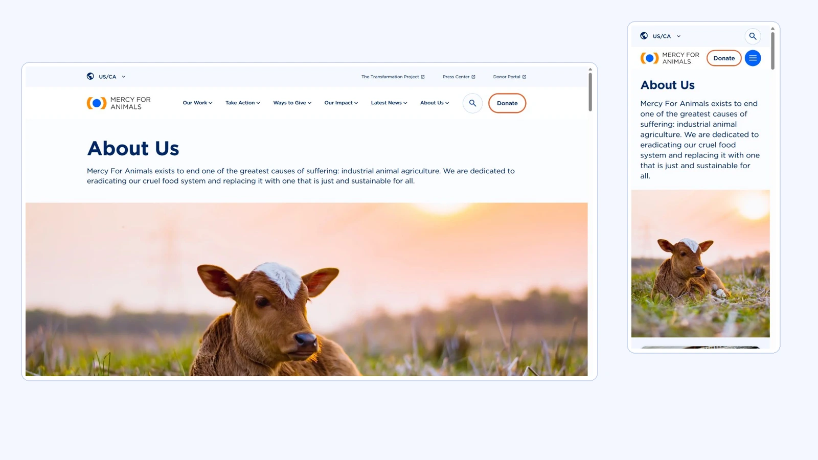 Mercy For Animals: regional WordPress publishing — public website capture